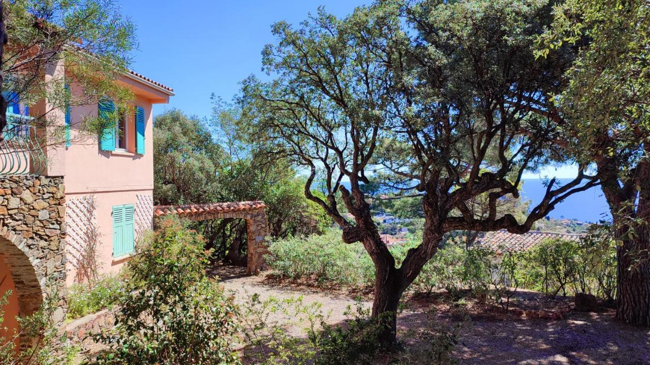 Villa Les Trois Chenes, Piscine Privee & Vue Mer Sur Golfe De Saint Tropez لي إيسامبر المظهر الخارجي الصورة